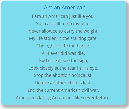 I Am an American - Terry McDermott